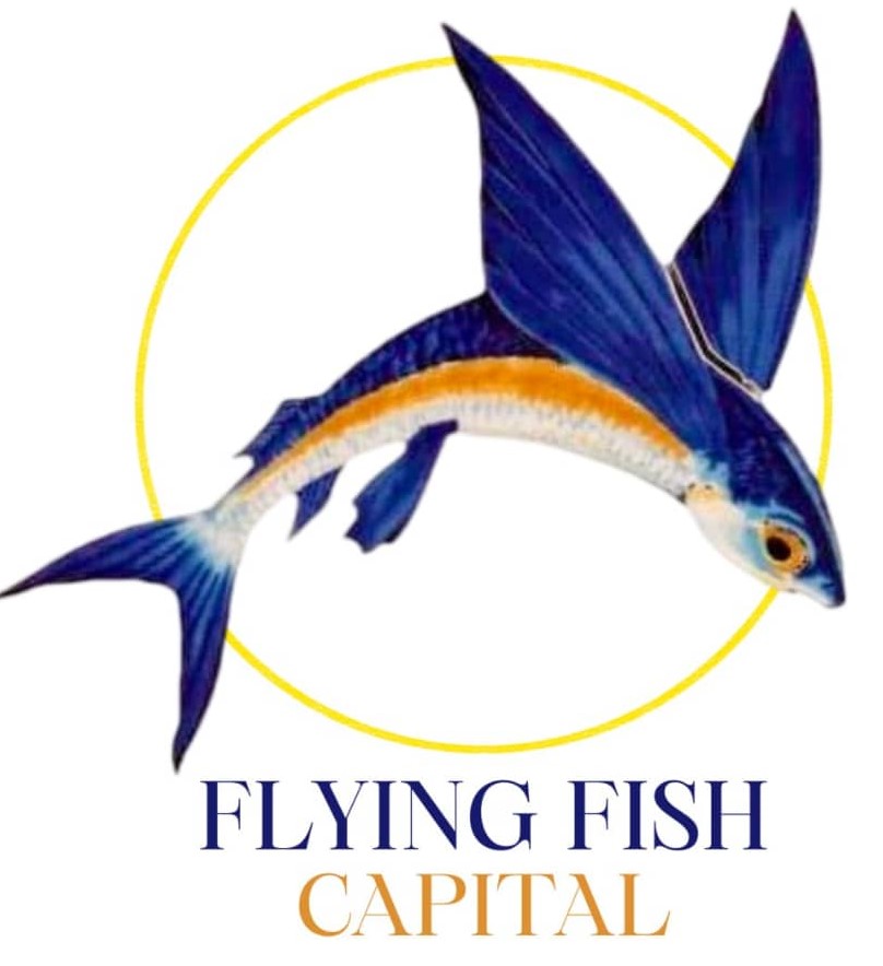 flyingfishcapital.com.pg